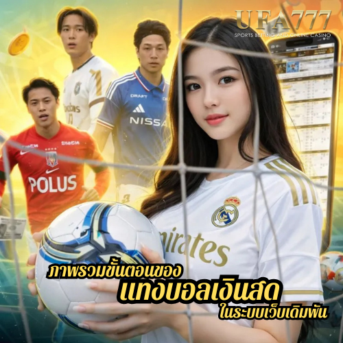 ภาพรวมขั้นตอนของ แทงบอลเงินสด ในระบบเว็บเดิมพัน