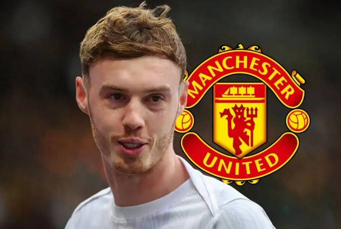 โคล พาลเมอร์