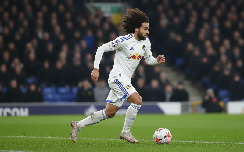 การเริ่มต้นใหม่ที่ปลุกคัลเวิร์ต-ลูอินกลับมา