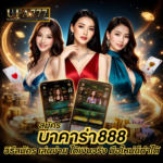 บาคาร่า888