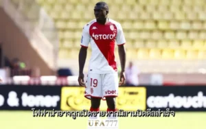 โฟฟาน่า